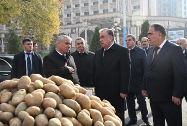 Президенти Ҷумҳурии Тоҷикистон Эмомалӣ Раҳмон дар Фестивали асал, картошка ва анор дар вилояти Суғд иштирок намуданд