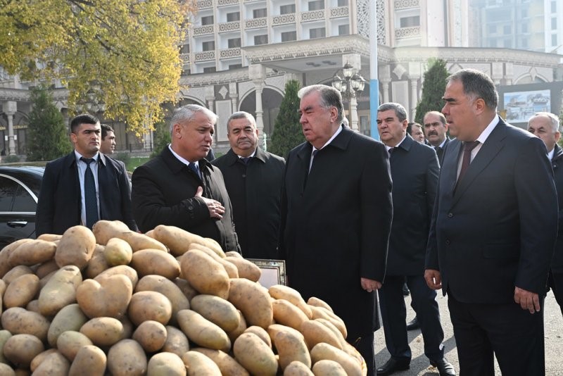 Президенти Ҷумҳурии Тоҷикистон Эмомалӣ Раҳмон дар Фестивали асал, картошка ва анор дар вилояти Суғд иштирок намуданд